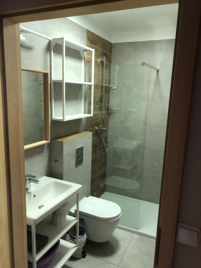 Sniezka Apartment Дужники Здрой Екстериор снимка